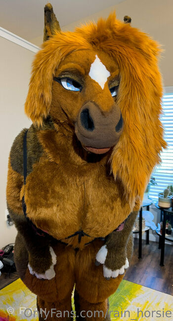 rain_horsie