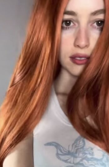 Red Fox Evelyn