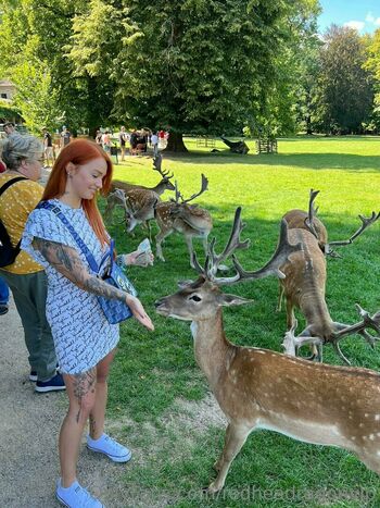 redheadragonvip