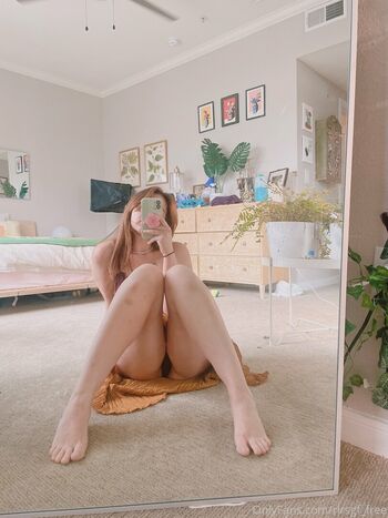 rlrsgf_free