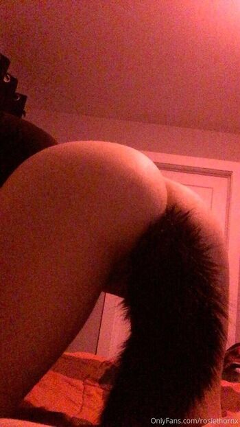 rosiethornx