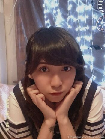 Ruipandaa