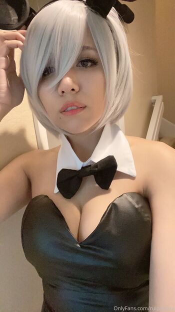 Ruipandaa