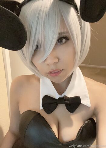 Ruipandaa