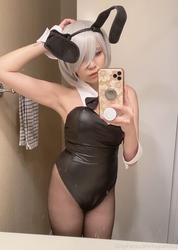 Ruipandaa