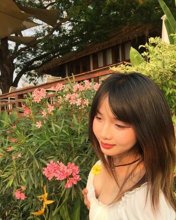 s_suikaa