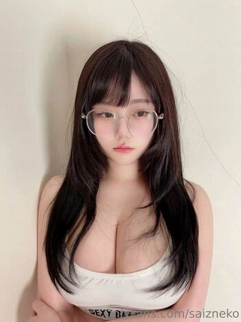 Saizneko
