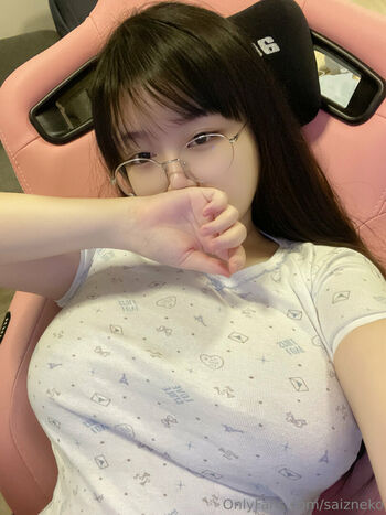 Saizneko