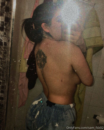 sam_fdz02