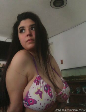 sam_fdz02