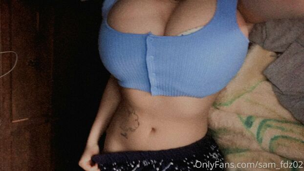 sam_fdz02