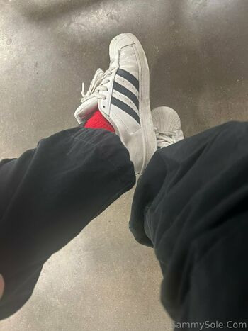 sammysole
