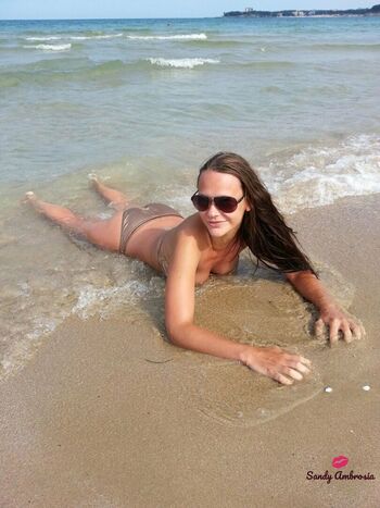 sandy_ambrosia