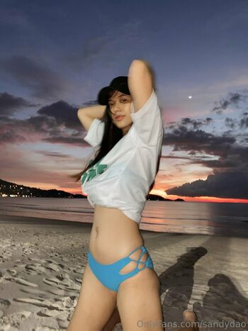 sandydao