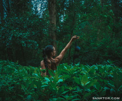 Sanktor
