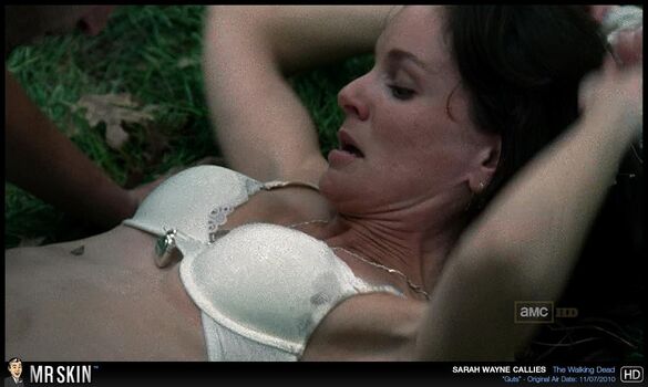 Sarah Wayne Callies