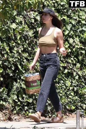 Scout Willis