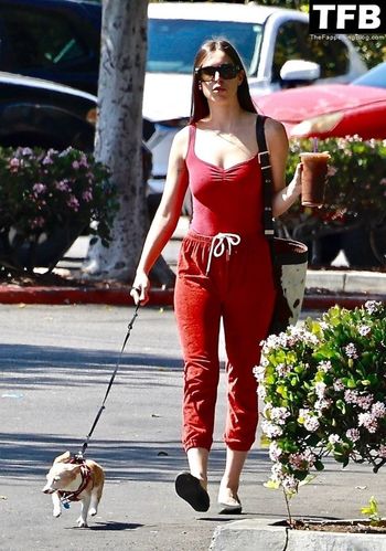 Scout Willis