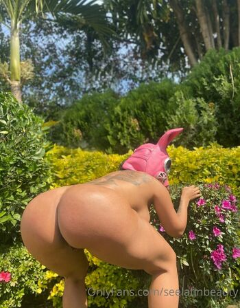 seelatinbeauty