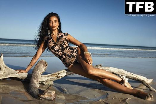 Shanina Shaik