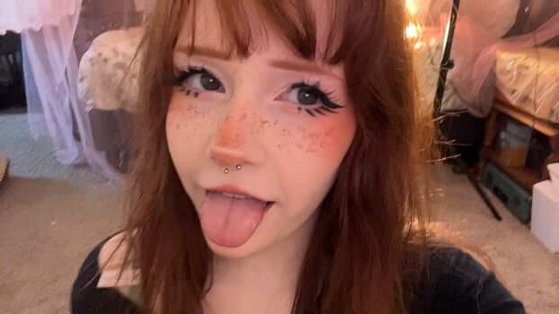 shelbypng