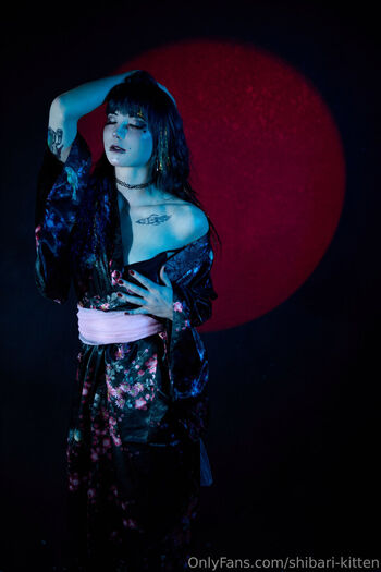 shibari-kitten