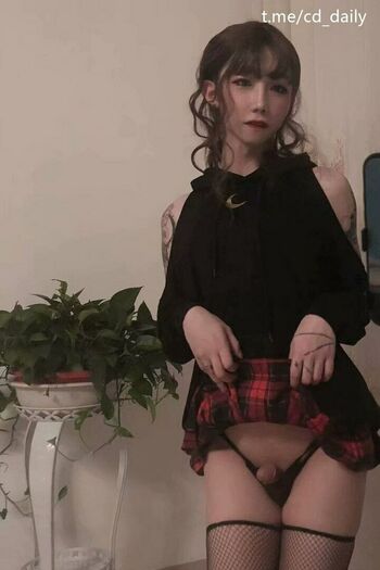 shiliuyelei