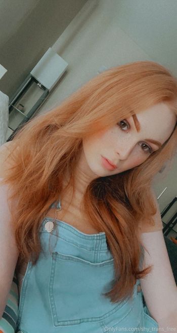 shy_trans_free