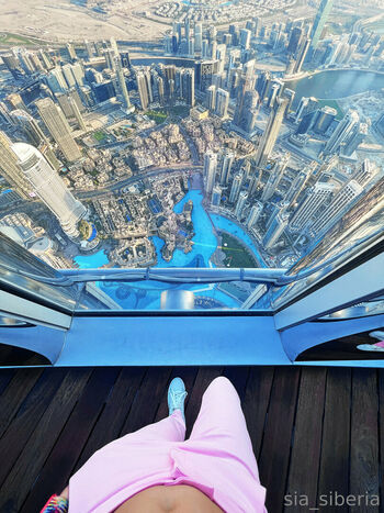 sia_siberia_free