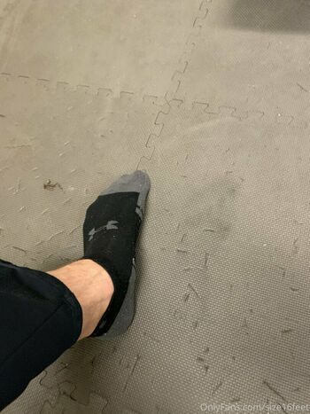 size16feet