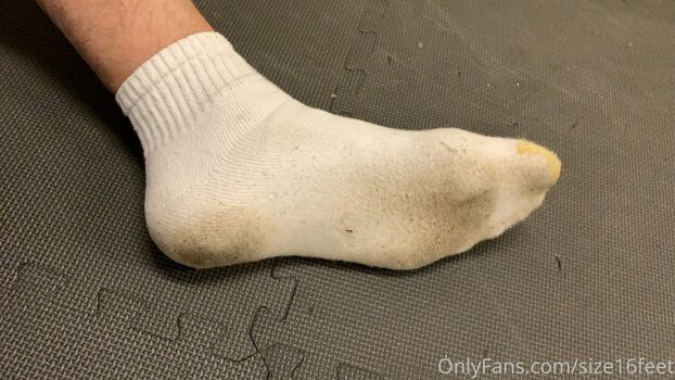 size16feet