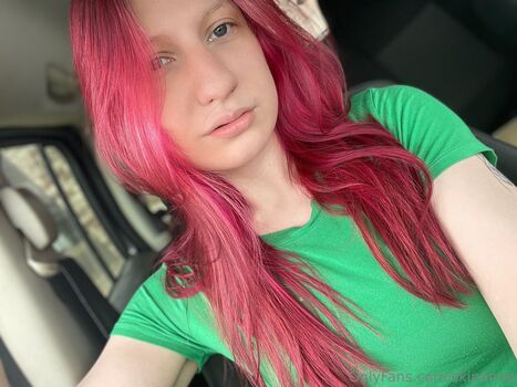 skipanne