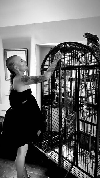 Skylar Grey