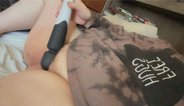 sleepy_hneybee