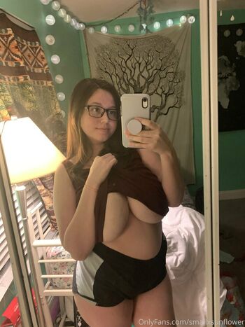 smallxsunflower