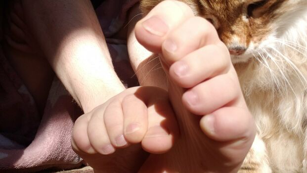 softcorekittyx