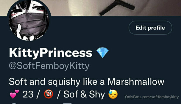 softfemboykitty