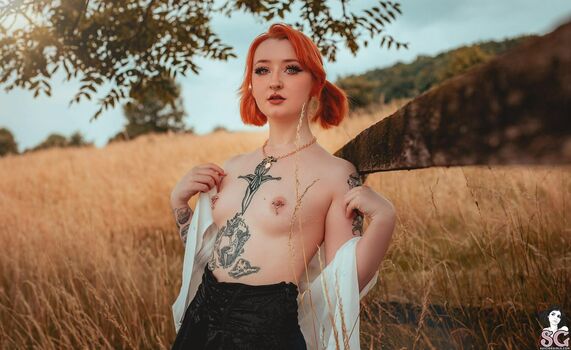 Starrybunny