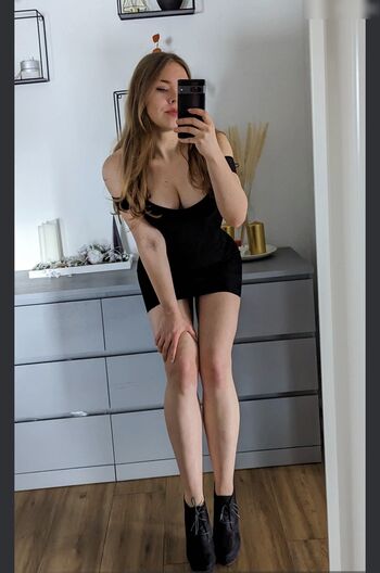 steffidnt