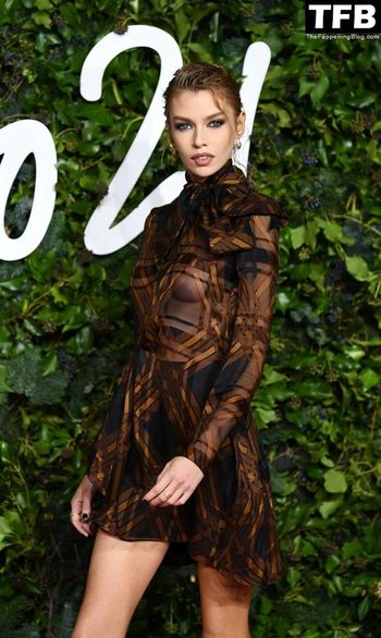Stella Maxwell