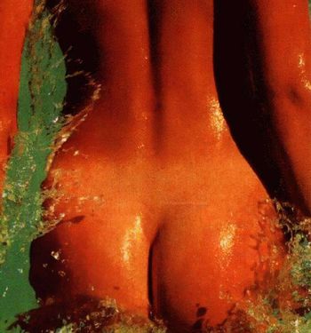 Stephanie Seymour