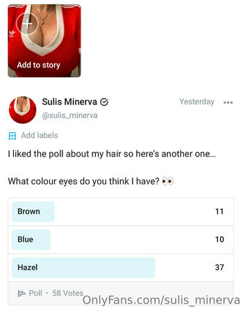 sulis_minerva