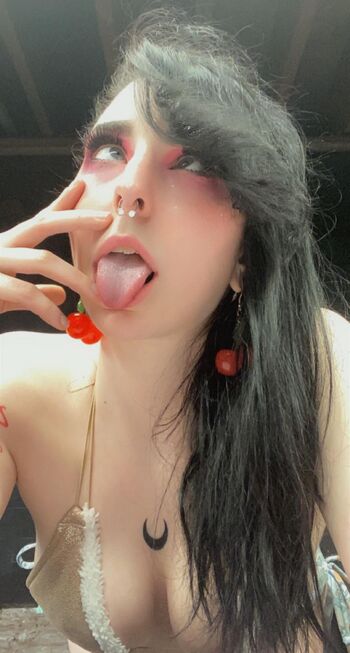 svxxvbvs