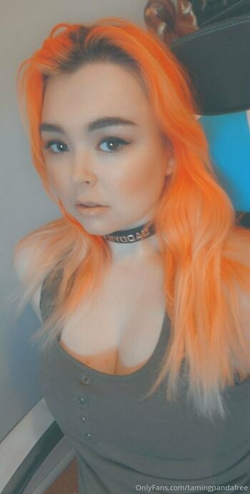 tamingpandafree
