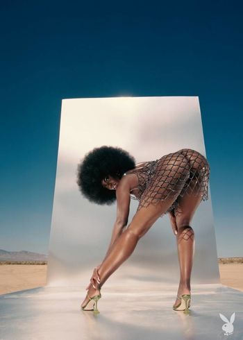 Tanerelle