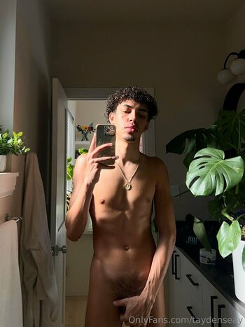 taydenseay