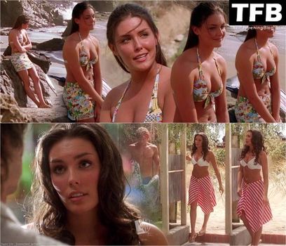 Taylor Cole