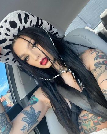 Taylor White