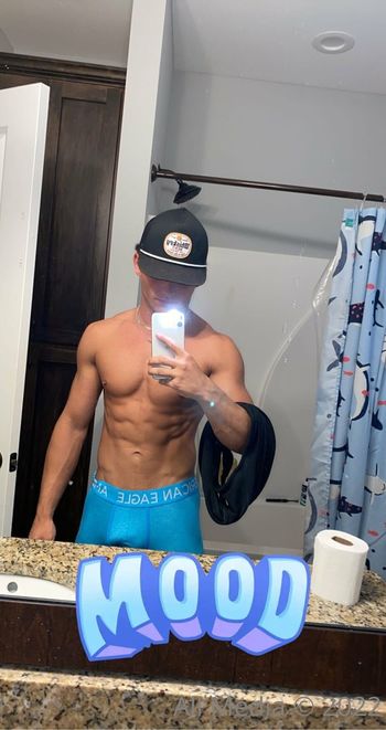 taylorsfree