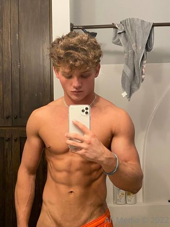 taylorsfree